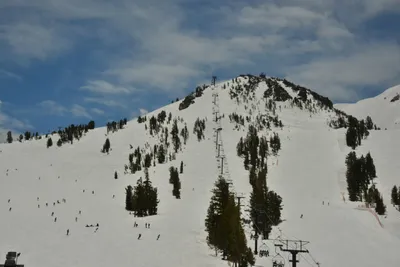 DSC_6666 (Large).JPG